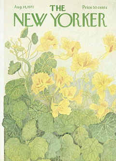 理想的后花园采集到NEW YORKER