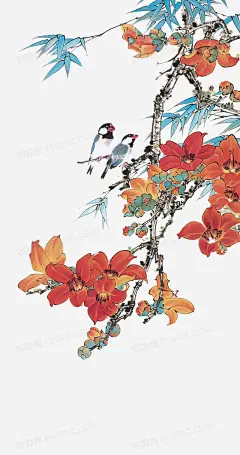 木棉花