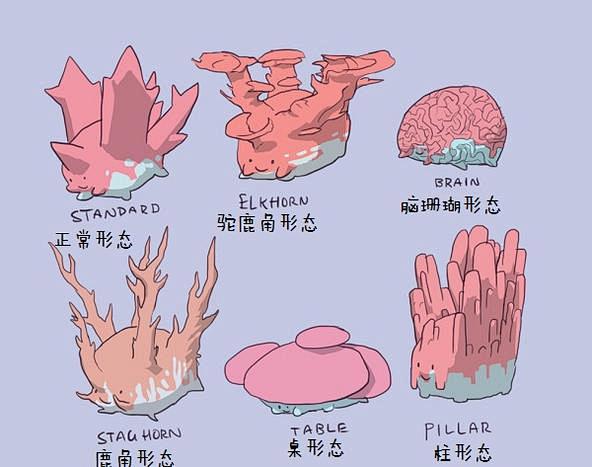 『怪奇物种图鉴』口袋妖怪亚种，其实是这样...