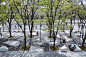 Grand Mall Park STGK Inc. | studio gen kumagai : A renovation project of the Grandmall Park, a 700 meter long park located at the center of  21. Designated a “Future City” by the Japanese government,...