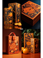 橙子手绘风格礼盒包装设计欣赏