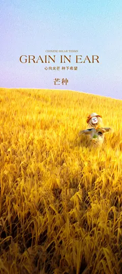 中国传统节气芒种创意海报