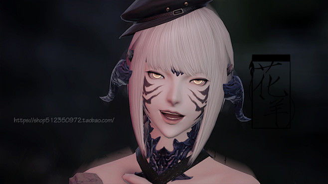 花羊ff14捏脸最终幻想14捏脸脸型数据敖龙族龙女捏脸数据脸型淘宝网