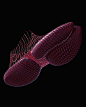 Footwear Experiments : Goji & Goko represent two experiments using generative design techniques in Houdini to create outsole structures for footwear that with some design refinement could theoretically be 3D printed in an elastomeric material. They ta