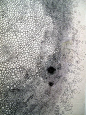 Hiroyuki Doi: 