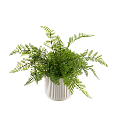 木木屿寒采集到家居植物|家具