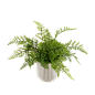 北欧植物花盆-盆栽绿色花瓶植物免抠素材透明png