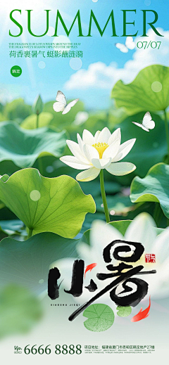 Valenliu采集到节日素材