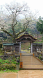 Karamon (gate) at Asakura ruin, Fukui , Japan