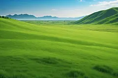 自然风光嫩草摄影图