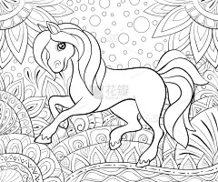 可爱的,马,儿童,小的,乱画,分离着色,轮廓,白色,着色,冥想