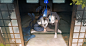 #蔚蓝档案#
X：anon