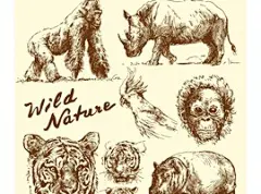 8款手绘野生珍惜保护动物矢量素材，采自好图网：http://sucai.haotu.net