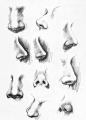 鼻子画法 (141)