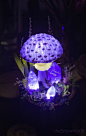 (4) Pinterest