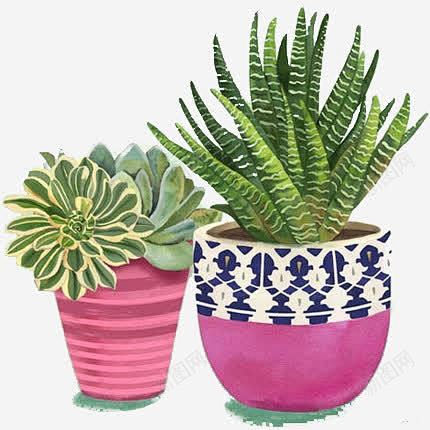 两个紫色花盆多肉植物高清素材图案多肉手绘植物装饰元素免抠png设计