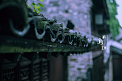 菊苑逸馨采集到簷