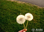 相册 | 查看大图页