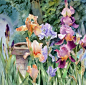 untitled、Ann Mortimer