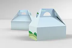 简约大气礼盒包装盒样机效果图