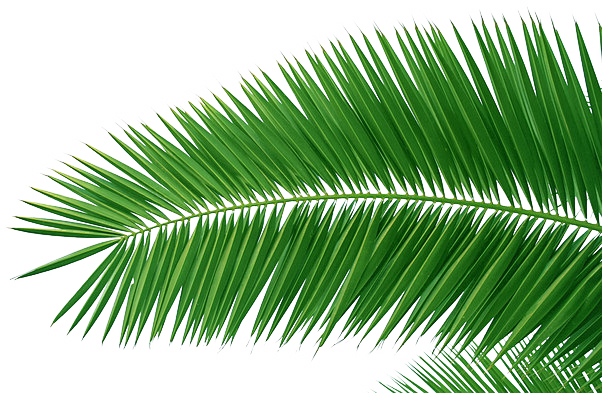 f2d526657c9e57cf3251...