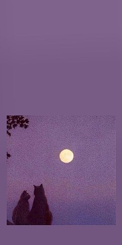 @你看那是岸_朱夫人（由于壁纸有一部分自制，所以转壁纸请加关注注明出处，蟹蟹）平铺，可爱，女王范，黑色，黑白，白色，锁屏，ins风，潮，御姐，动漫，卡通，风景，古风，流行，欧美，情侣壁纸