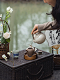 闲饮| 春日奔赴山野 一起去寻春喝茶