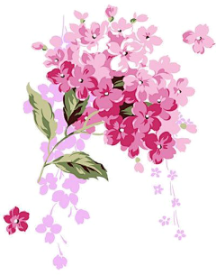 猫和桃子采集到February