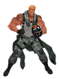 Pilot_Magnus