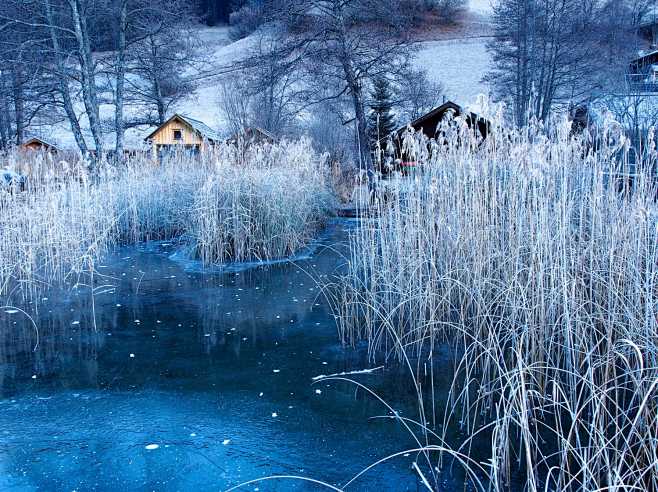 frozen morning by Va...
