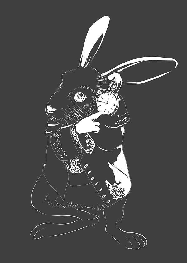 兔子先生
