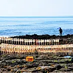 带你去都叫兽在地球的首次降落地：巨济岛