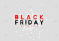 Black Friday Sale