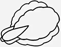 大白菜高清素材 可爱 手绘 简约 线性 免抠png 设计图片 免费下载
