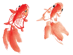 动物 金鱼 png 水粉