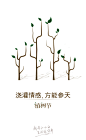 江小白