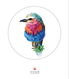 彩铅画的好是一种怎样的体验？ - 彩铅鸟类羽毛绘制及色彩的运用 - 花瓣直播