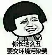 你丑要交环境污染费
