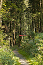 布里隆景观治疗公园 Landscape Therapeutic Park in Brilon / Planergruppe + B.A.S. – mooool木藕设计网