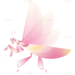 惊蛰扁平几何昆虫元素