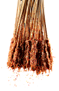 烤牛肉串png