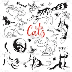 设置了不同品种的玩猫。人物猫在风格的涂鸦卡通。矢量图