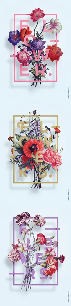 Illustration «Flower» : Typography illustration poster