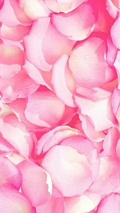 材质 素材 壁纸 美图