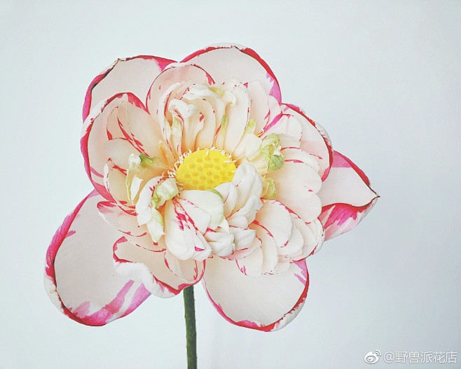 野兽派花店的照片 - 微相册