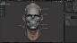 Master Sculpting Heads in Blender - Sculpting Course