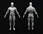 Male Anatomy Model Sculpt on Cubebrush.co : This is a high poly model of the male human figure with extremely accurate anatomy. I would be very impressed if you found a more accurate model anywhere els...