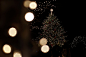 Photograph A christmas tree by Chikara .O on 500px