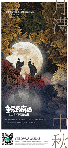 啵赞行星采集到节日