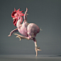 More Than Human - Tim Flach